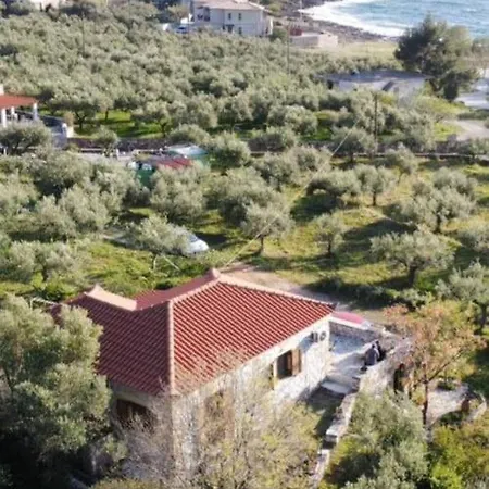 Διαμέρισμα Maistroshome *