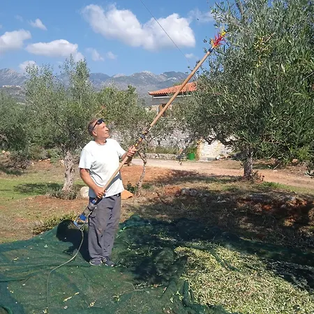 Διαμέρισμα Maistroshome *