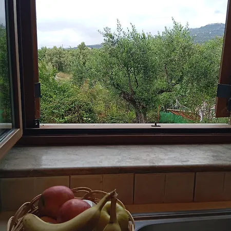 Maistroshome Kotronion (West Mani)