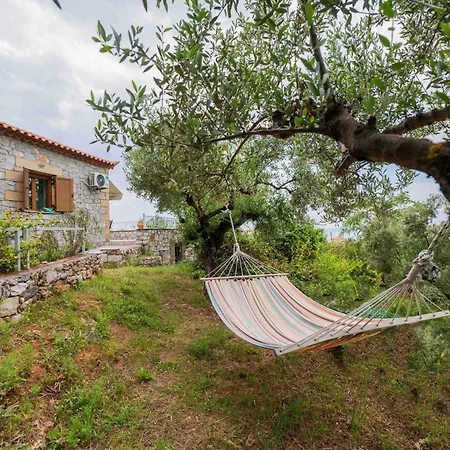 Apartamento Maistroshome