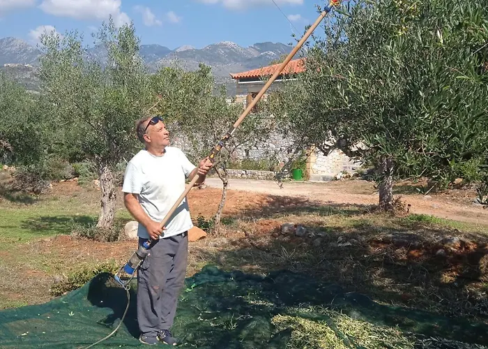 Lejlighed Maistroshome *