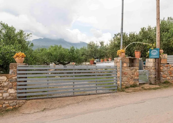 Maistroshome Lejlighed